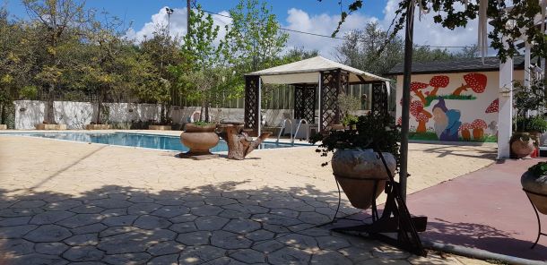 ArtWater Exterior Pool